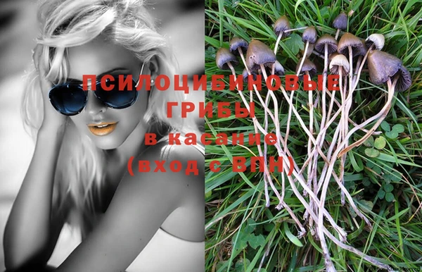 ALPHA-PVP Новодвинск