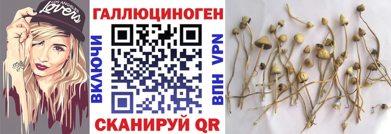 Псилоцибиновые грибы ЛСД Яхрома
